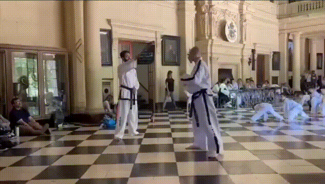 Descripción de la imagen